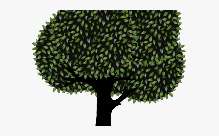 Portable Network Graphics, Transparent Clipart