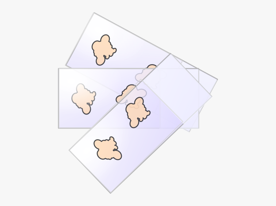 Slide Microscopy Bone2 Clip Art At Clker - Cartoon, Transparent Clipart