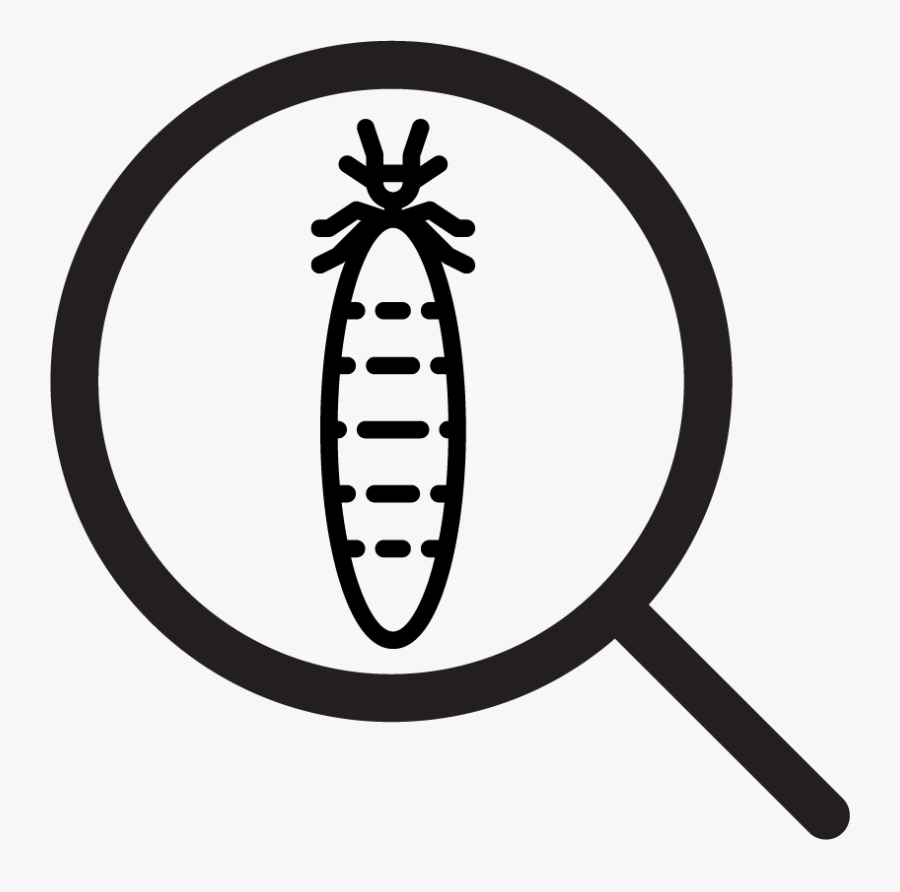 Transparent Townshend Act Clipart - Termite, Transparent Clipart