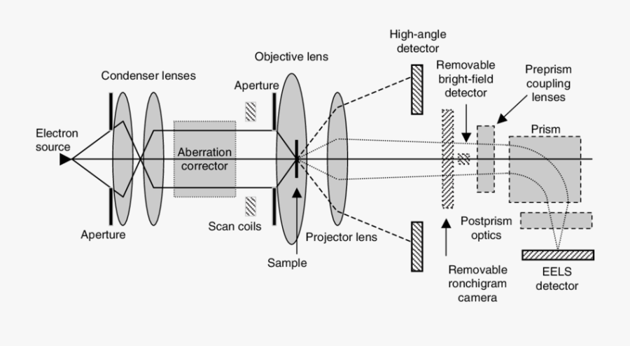 Schematic Of A Scanning - Scanning Transmission Electron Microscope Schematic, Transparent Clipart
