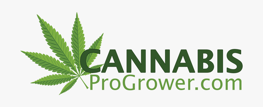 Cannabis, Transparent Clipart