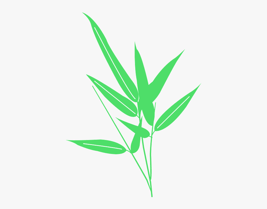 Hojas De Bambú Vector, Transparent Clipart