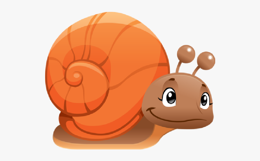 Bugs Caterpillars And - Snail Animal Image Cartoon, Transparent Clipart