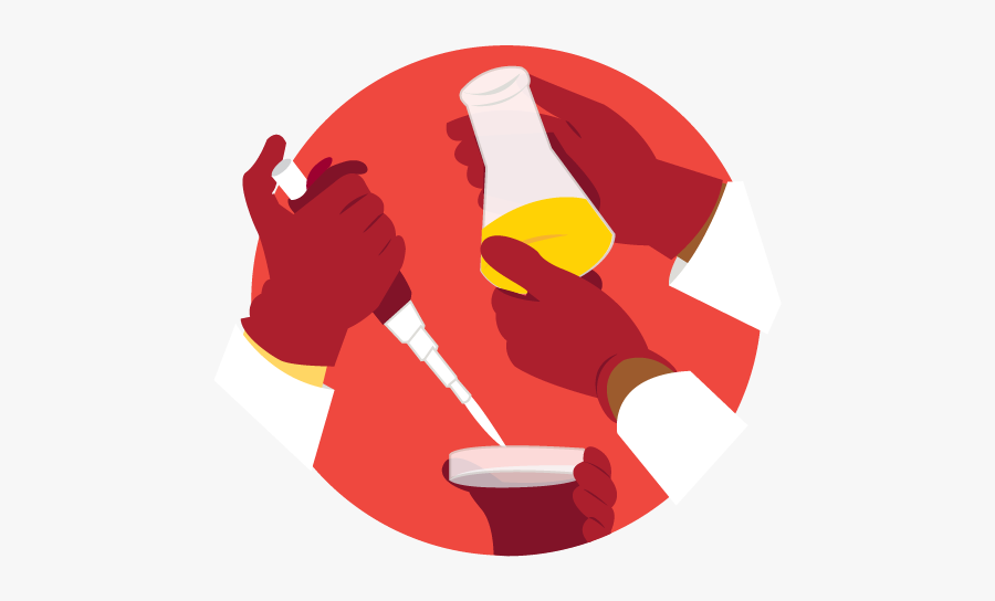 Collaborators Illustration - Illustration, Transparent Clipart