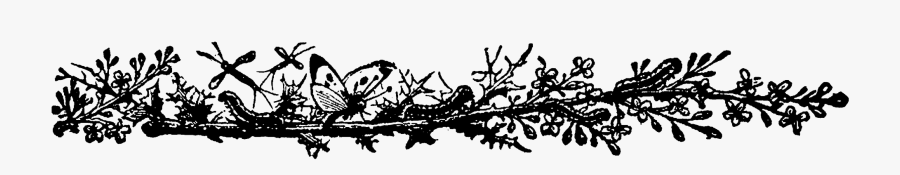 Twig, Transparent Clipart