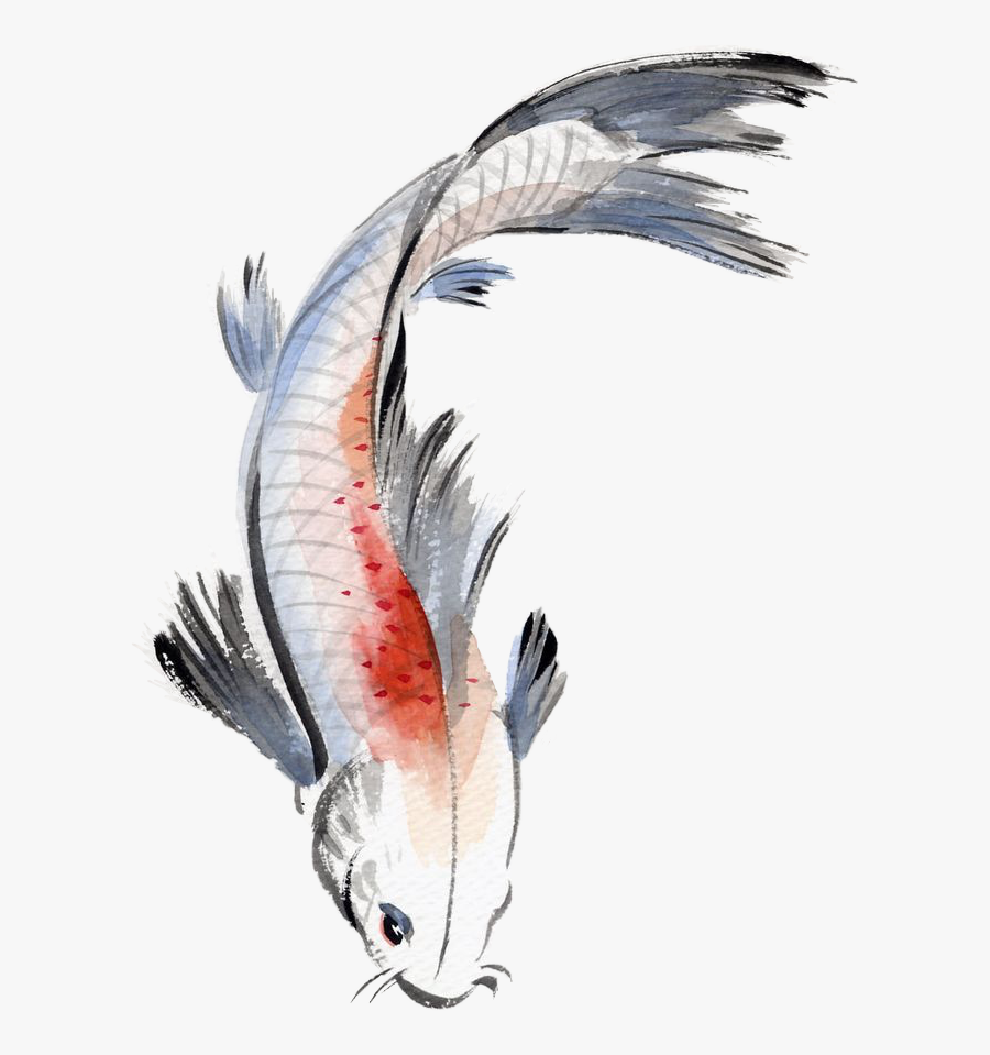 Clipart Free Stock Fishes Drawing Watercolor - Watercolor Koi Fish Draw, Transparent Clipart