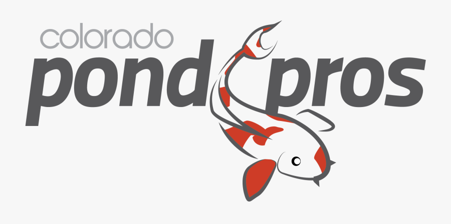Colorado Pros Building Servicing - Coral Reef Fish, Transparent Clipart