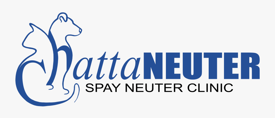 Subscribe To Our Newsletter - Cattleya, Transparent Clipart