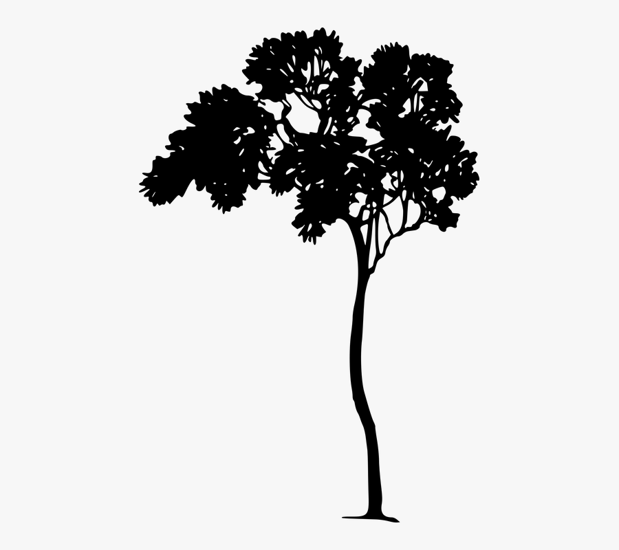 Random Things Trinkets For - Arthur Rackham Silhouette, Transparent Clipart