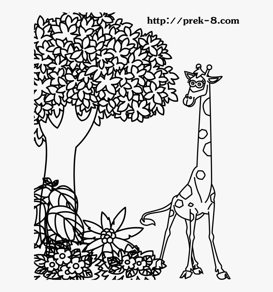 Transparent Jungle Gym Clipart - Trees And Animals Drawing, Transparent Clipart