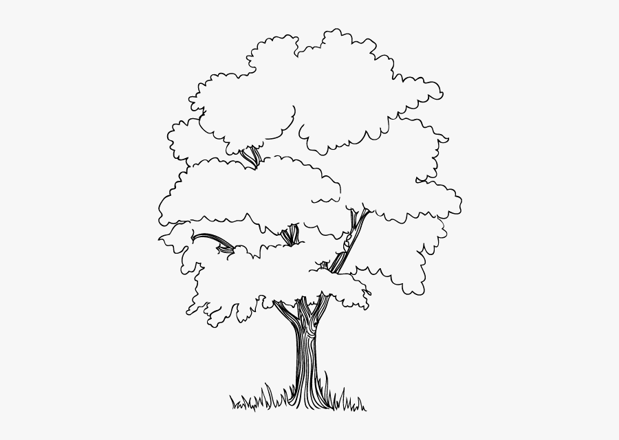 Drawn Jungle Easy Draw - Drawing Of A Jungle Tree, Transparent Clipart