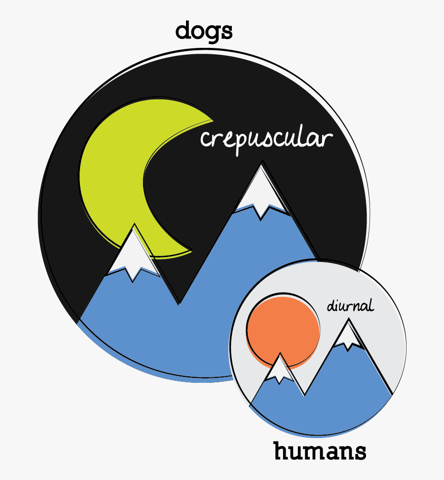 Glance Clipart Rabbit Eye - Circle, Transparent Clipart