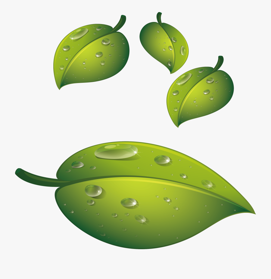 Drip Transparent Dew Drops Clipart , Png Download - Illustration, Transparent Clipart