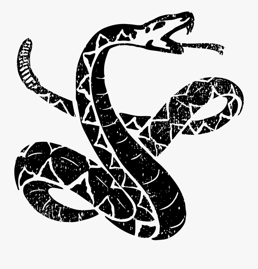 Snake Oil Cocktail Company , Transparent Cartoons - Snake Oil Cocktail Company, Transparent Clipart