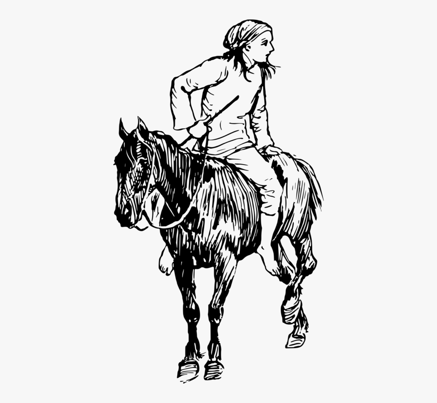 English Riding,pony,livestock - Mane, Transparent Clipart