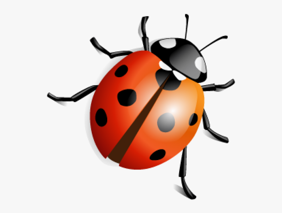 Lady Bug Png Free Download - Ladybird Transparent Background, Transparent Clipart