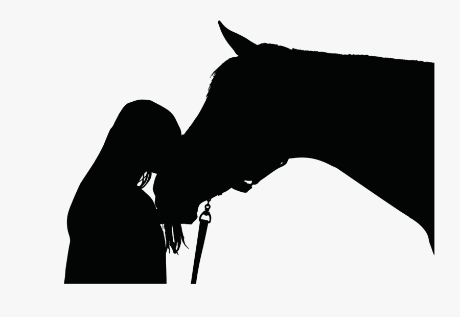 Horse Equestrian Silhouette Pony Clip Art - Horse And Human Silhouette, Transparent Clipart