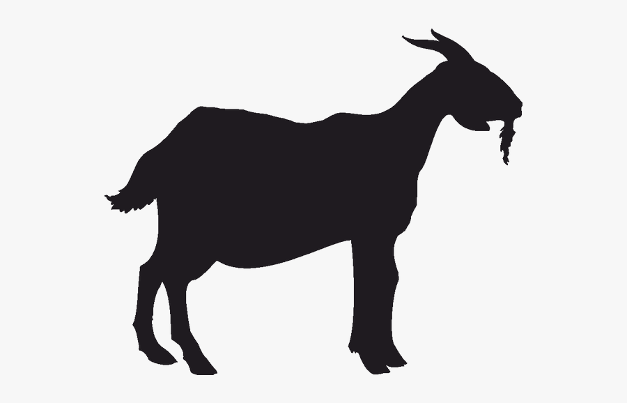 Boer Goat Anglo-nubian Goat Pygmy Goat Silhouette - Goat Silhouette Png, Transparent Clipart