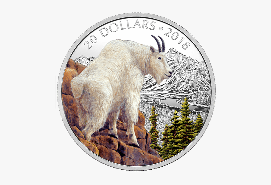Clip Art Mountain Goat Photos - Mountain Goat, Transparent Clipart