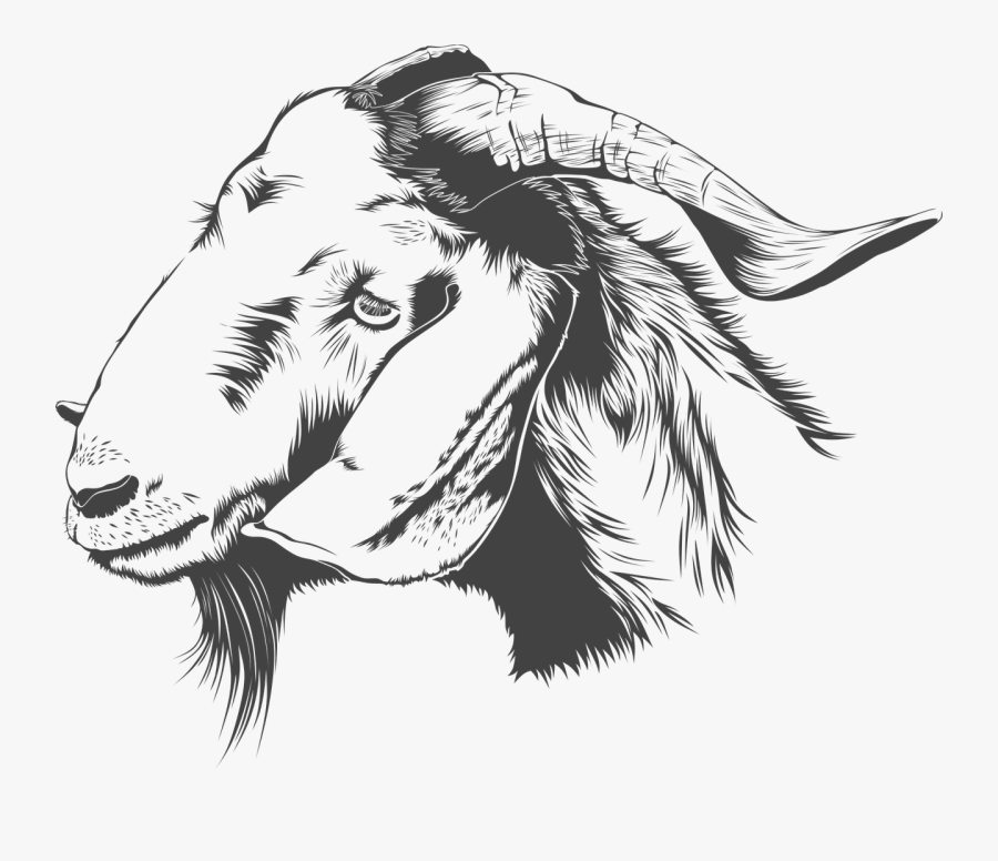 Transparent Animal Vector Png - Qurbani Karne Ki Dua Hindi Mein, Transparent Clipart
