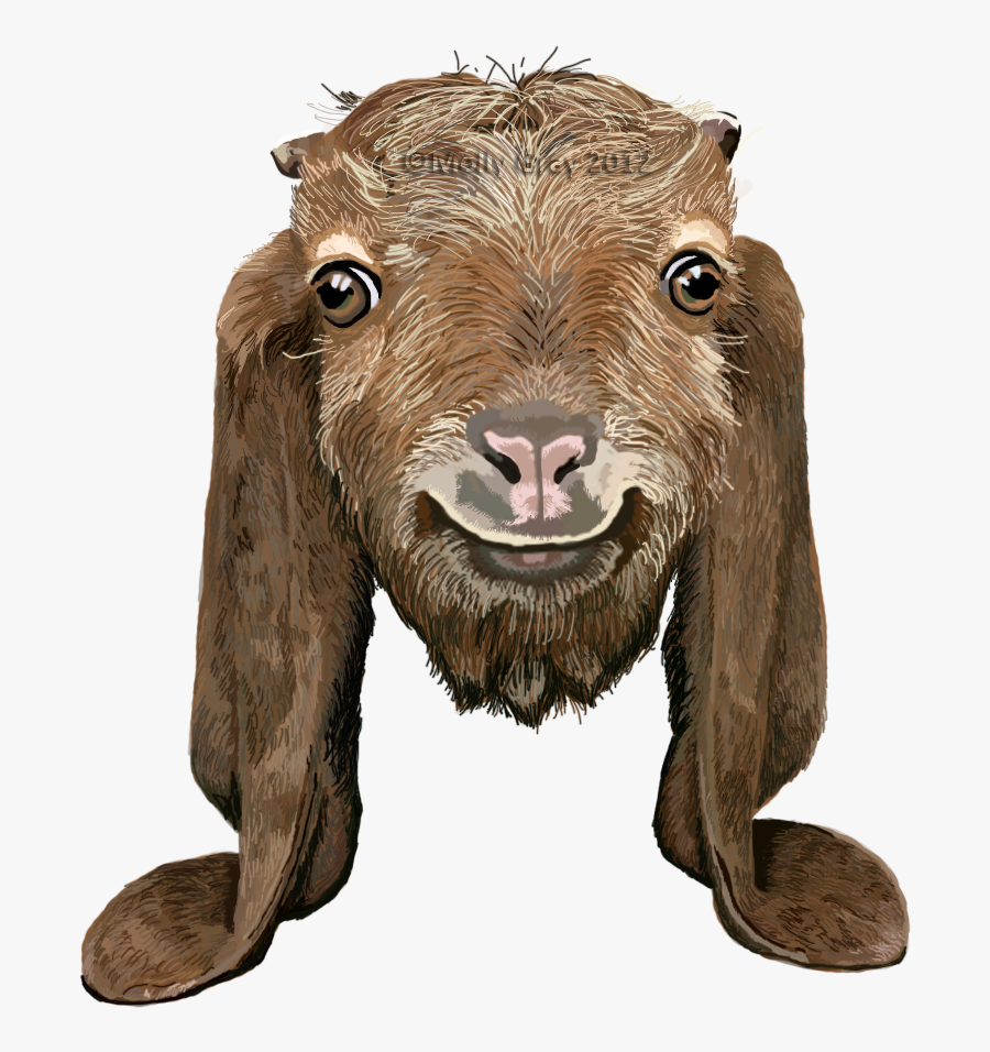 Goat Long Ear Png, Transparent Clipart