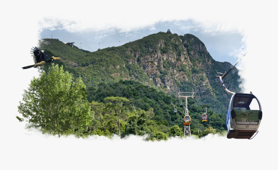 Homepage Skycab - Summit, Transparent Clipart