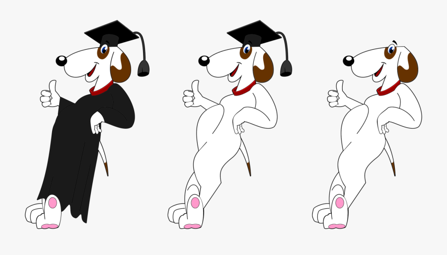 Dog, Transparent Clipart