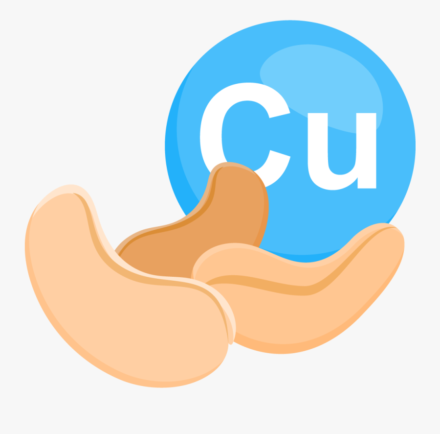 Cervelat, Transparent Clipart