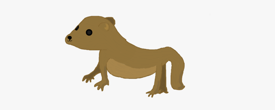 Collection Of Free Mongoose Drawing Download On Ui - Transparent Mongoose Clipart, Transparent Clipart