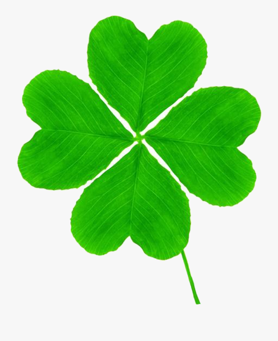 Transparent St Patricks Day Border Clipart - Four-leaf Clover, Transparent Clipart