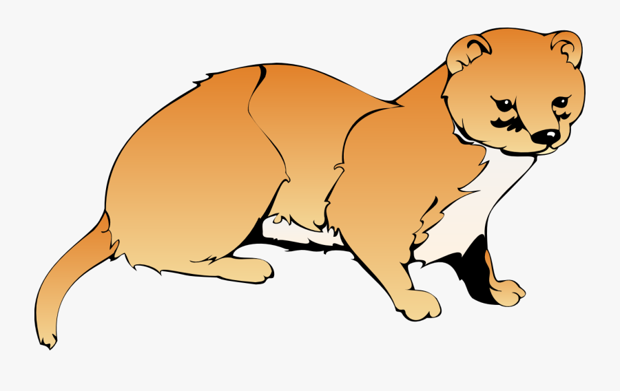 Mongoose Clipart Stoat - Weasel Clipart, Transparent Clipart