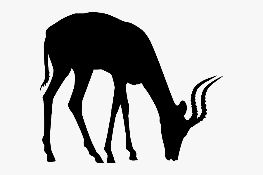 Antelope Silhouette, Transparent Clipart