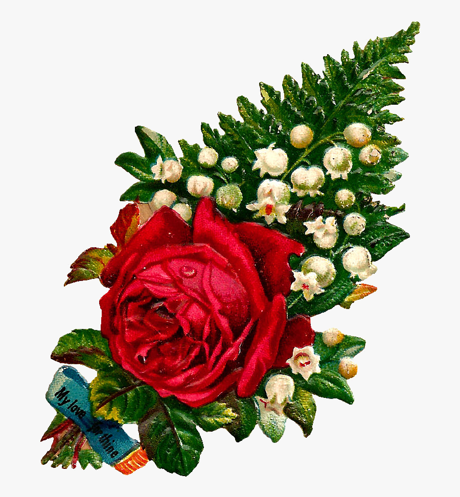 Photo Love Rose Flower Download Red Roses On The Red Silk Love Moment Flowers Wallpapers