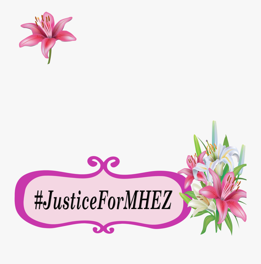 Contribute To Isupportcause - Lily, Transparent Clipart