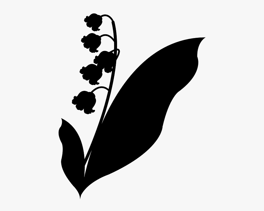 Lily Of The Valley Vector Png, Transparent Clipart
