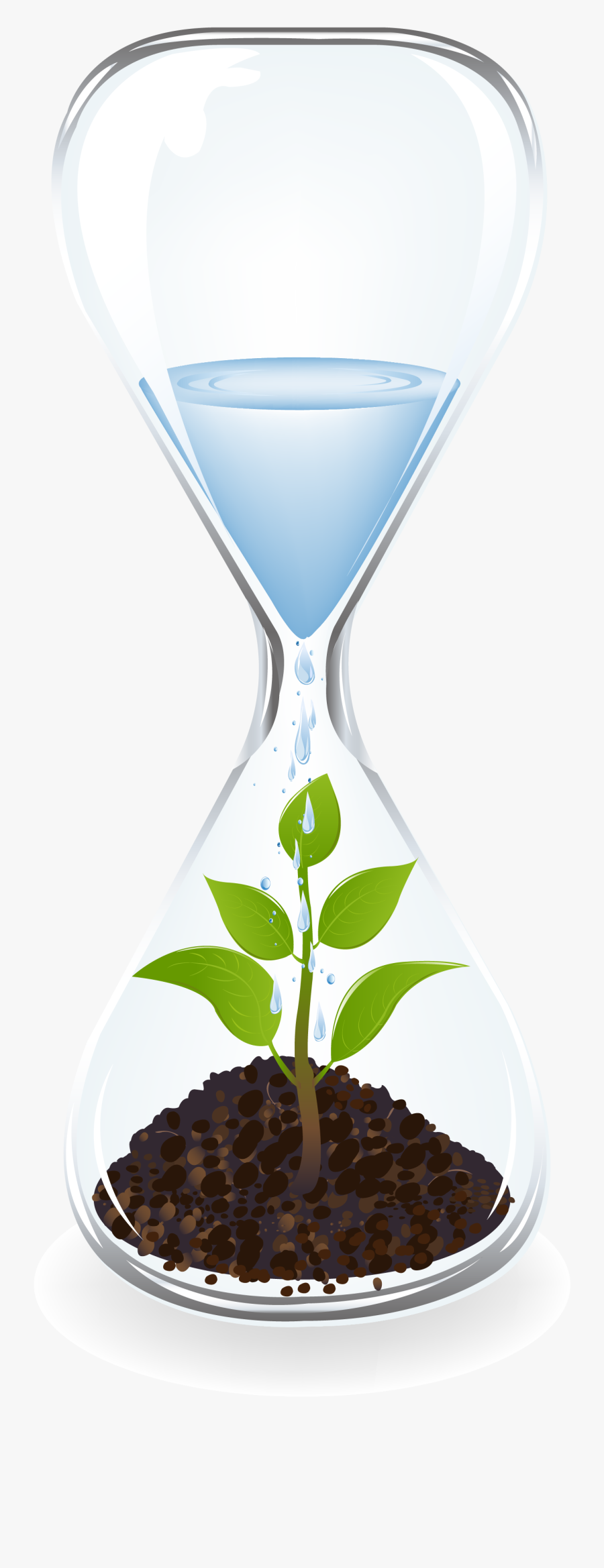 Transparent Hourglass Clipart - 幼苗, Transparent Clipart
