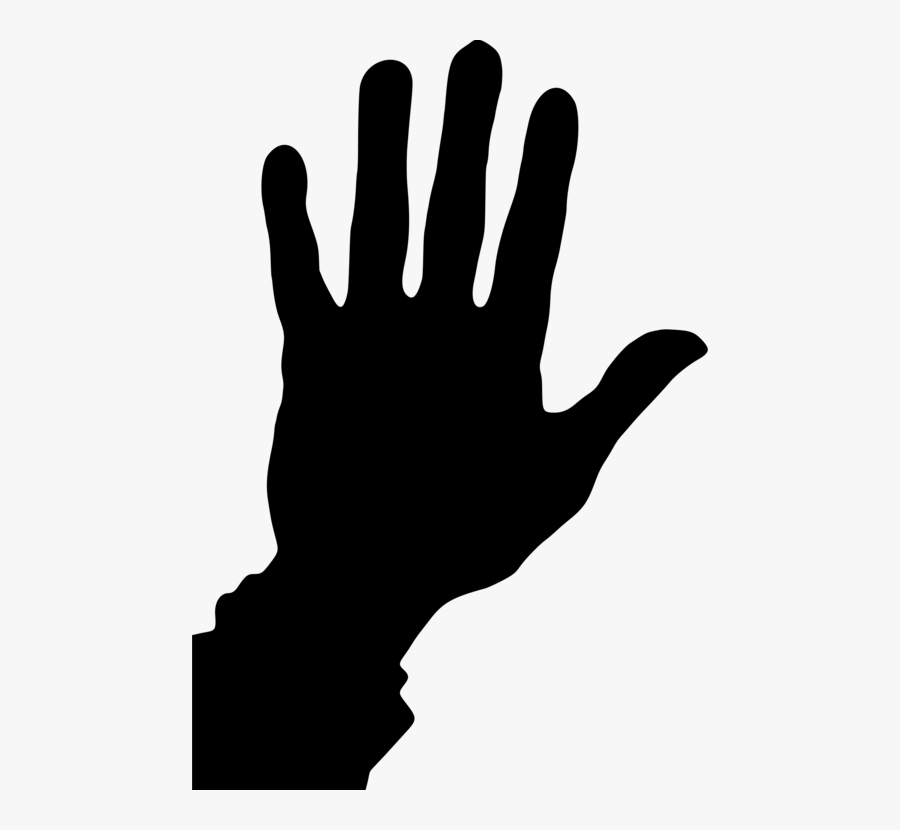 Photography - Illustration, Transparent Clipart