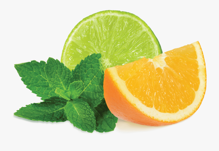 Mint Transparent - Citrus Mint Fumari, Transparent Clipart