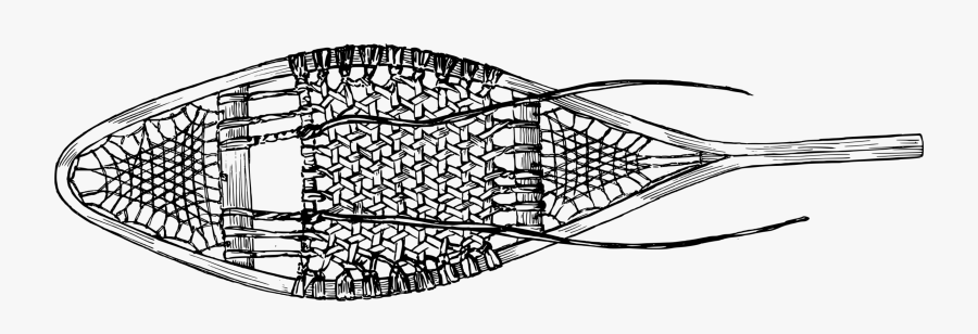 Line Art,plant,leaf - Snowshoes Black And White, Transparent Clipart