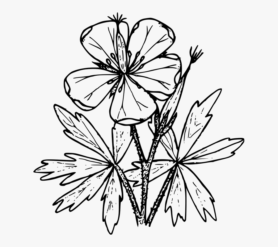 Free Free 324 Wildflower Svg Free SVG PNG EPS DXF File