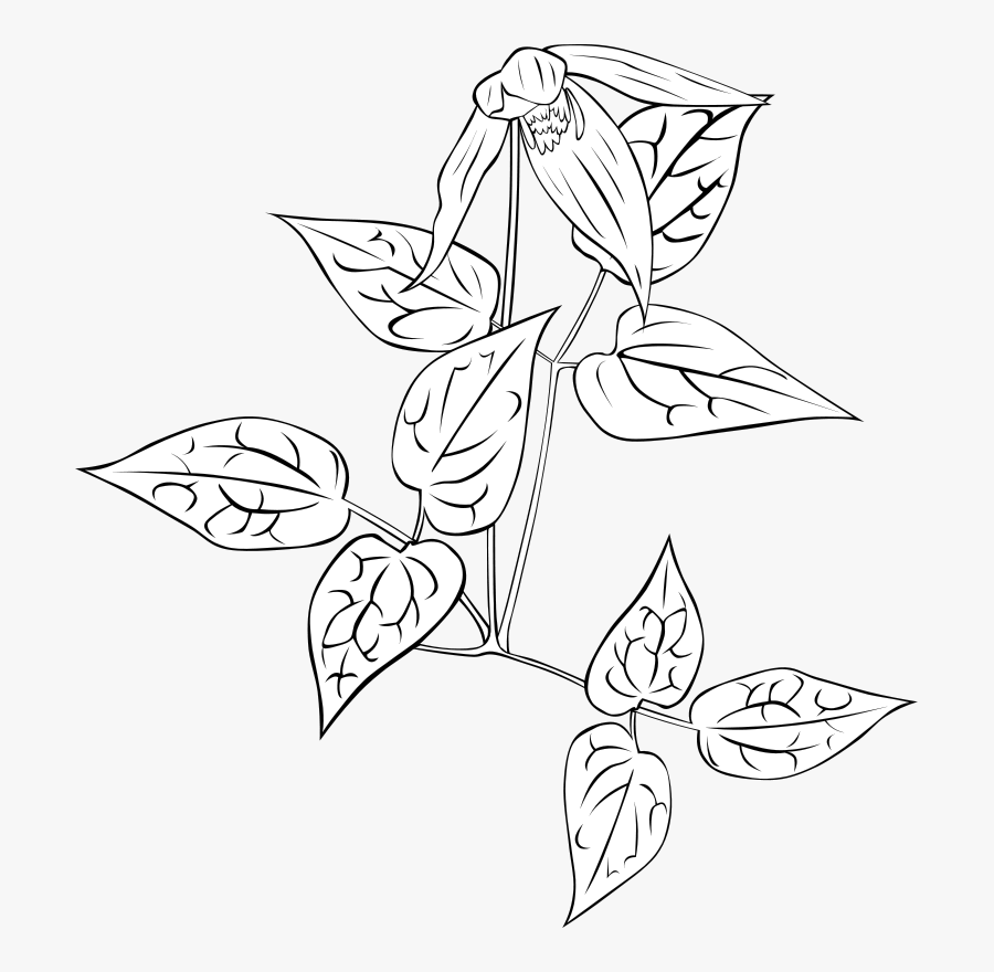 Leather Flower, Transparent Clipart