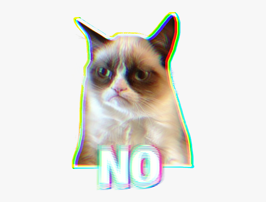#ftestickers #cat #no #meme #glitch #stickers #freetoedit - Didn T Say Stop Meme, Transparent Clipart