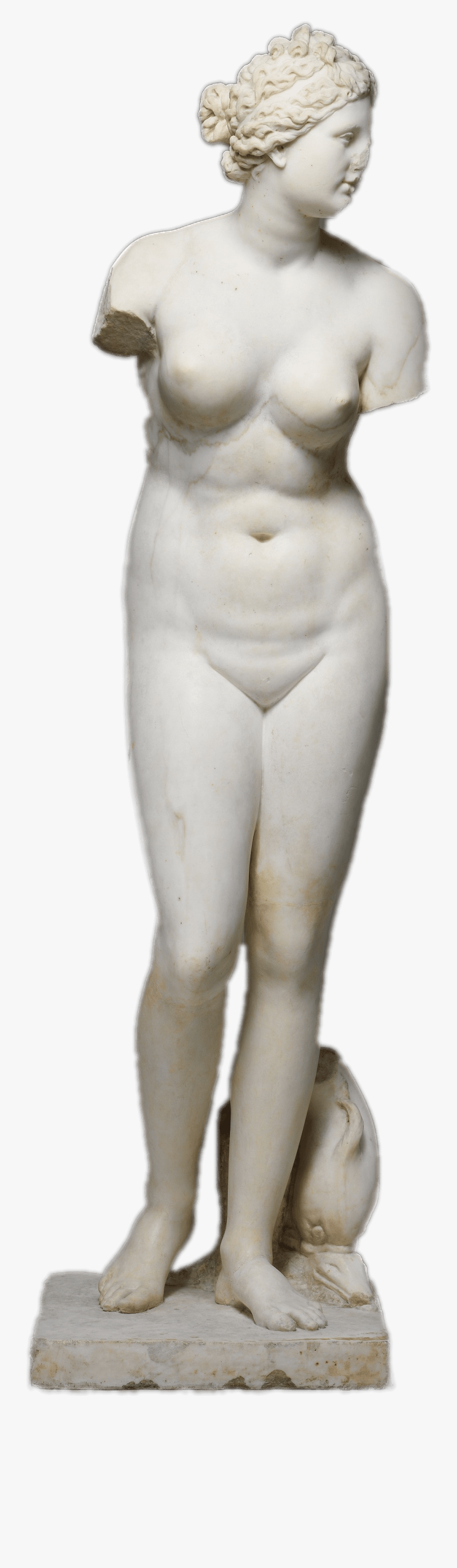 Marble Statue Of Aphrodite - Marble Statue Png, Transparent Clipart