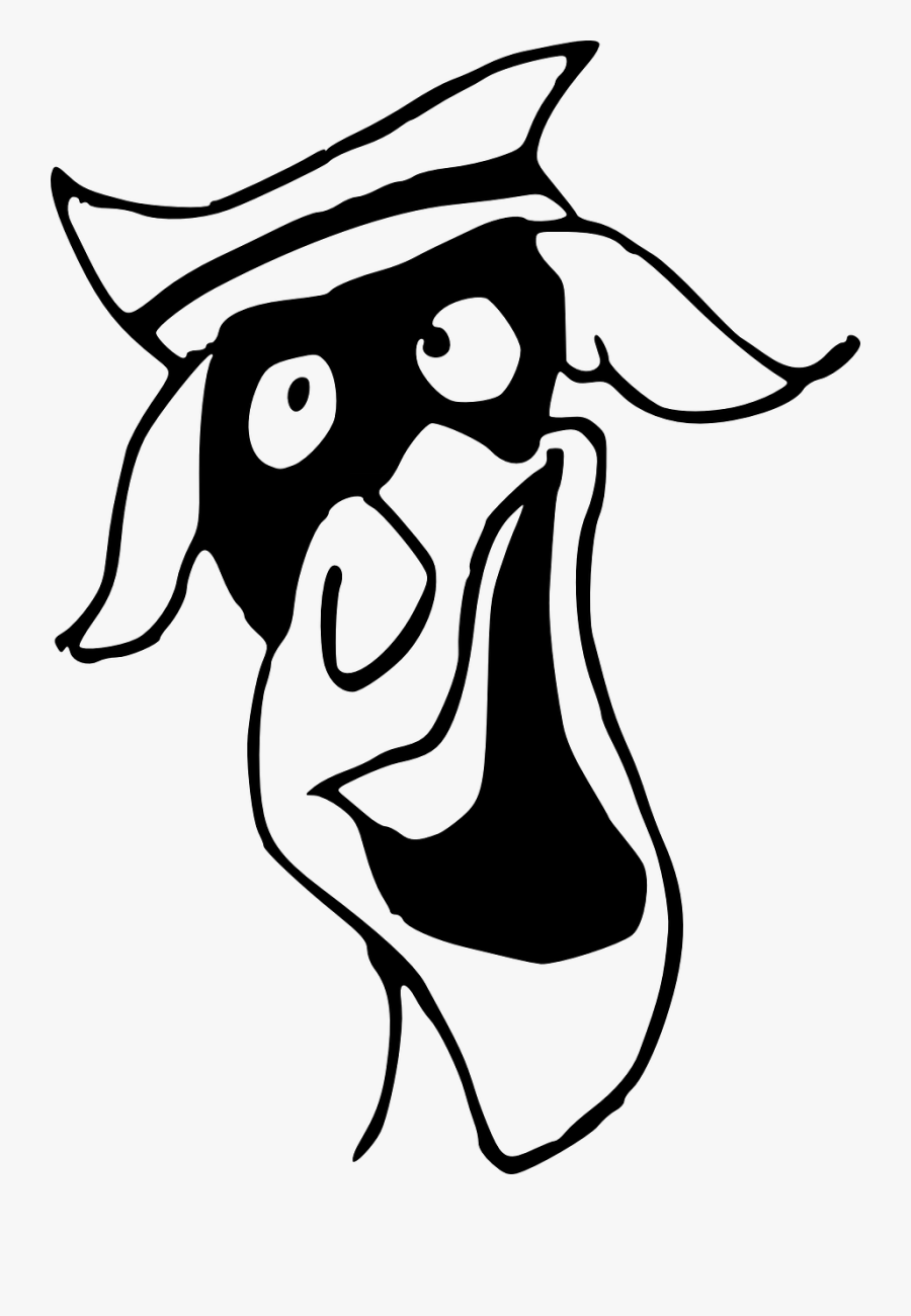 Portable Network Graphics, Transparent Clipart