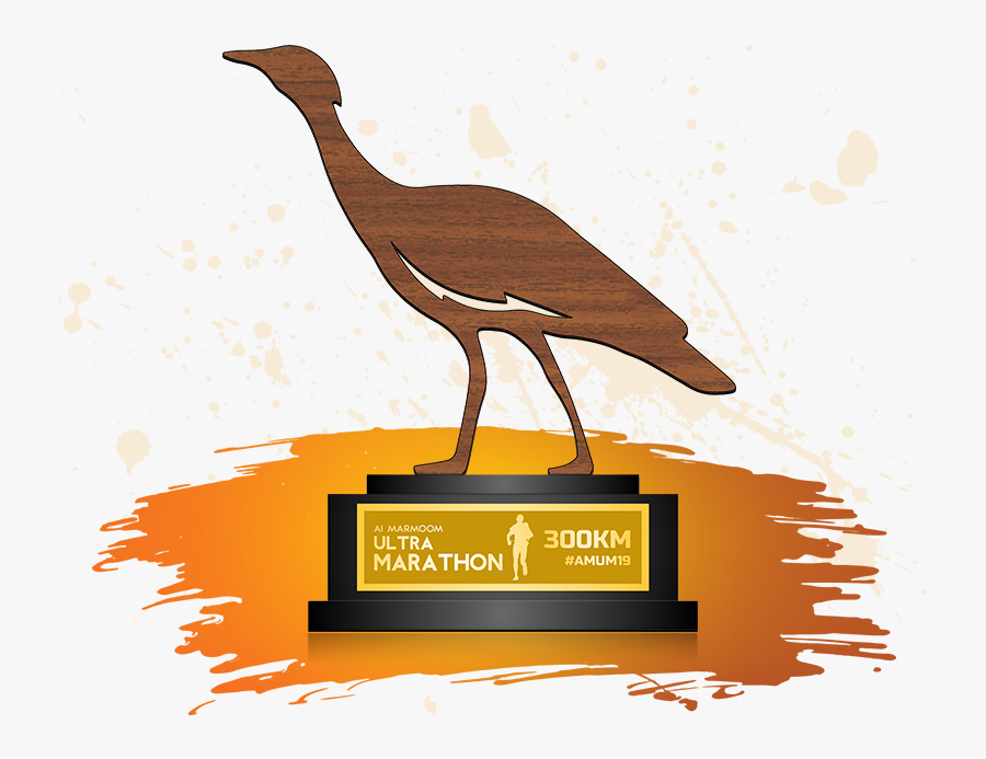 Seabird, Transparent Clipart