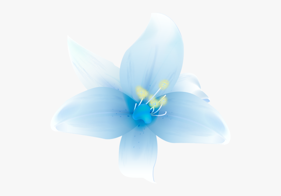 Clip Art Large White Flower - Transparent Beautiful Flower Png, Transparent Clipart
