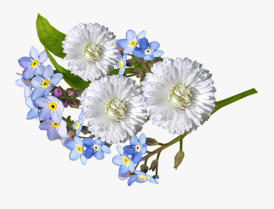 Blue Flower Png - White And Blue Flower Png, Transparent Clipart