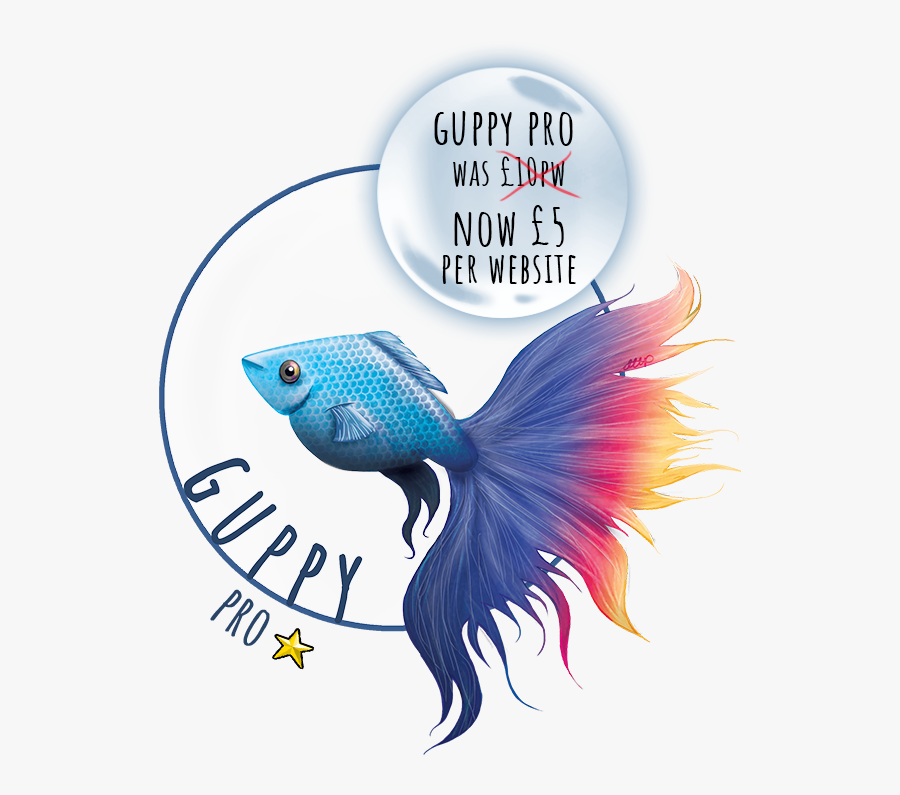 Coral Reef Fish, Transparent Clipart