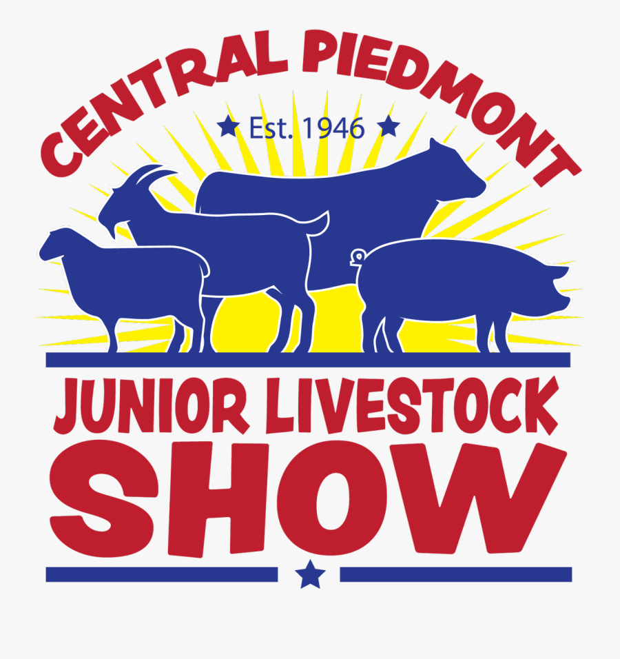 Cattle, Transparent Clipart