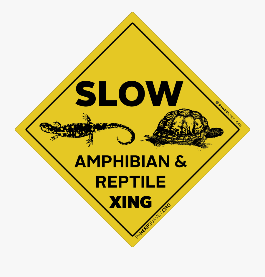 Ways To Prevent Sexual Abuse, Transparent Clipart